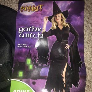 ADULT GOTHIC WITCH COSTUME DECENT CONDITION